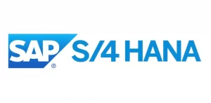 HIRE SAP S/4 HANA DEVELOPER